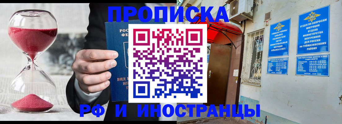 прописка 2025 в Шебекино